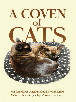 cover image of A Coven of Cats